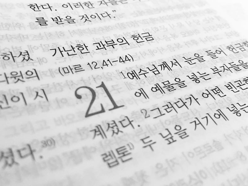 Language Translation Tools